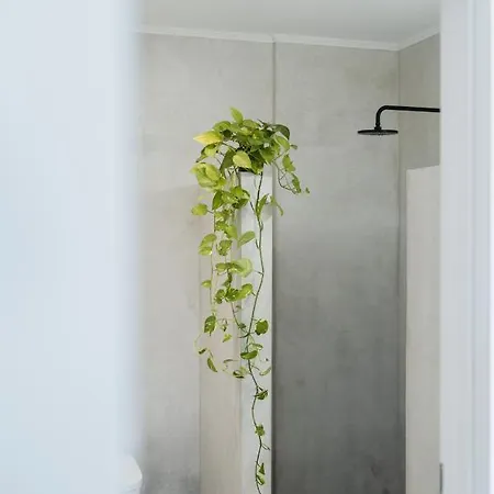 Magnolia Thassos * 포토스