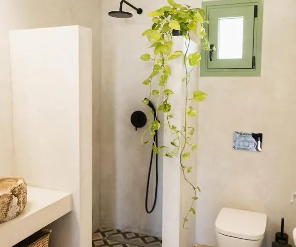 Magnolia Thassos Potos