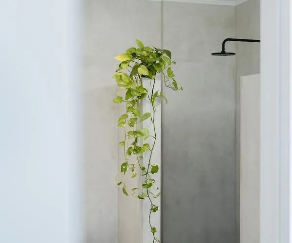 Magnolia Thassos * Potos